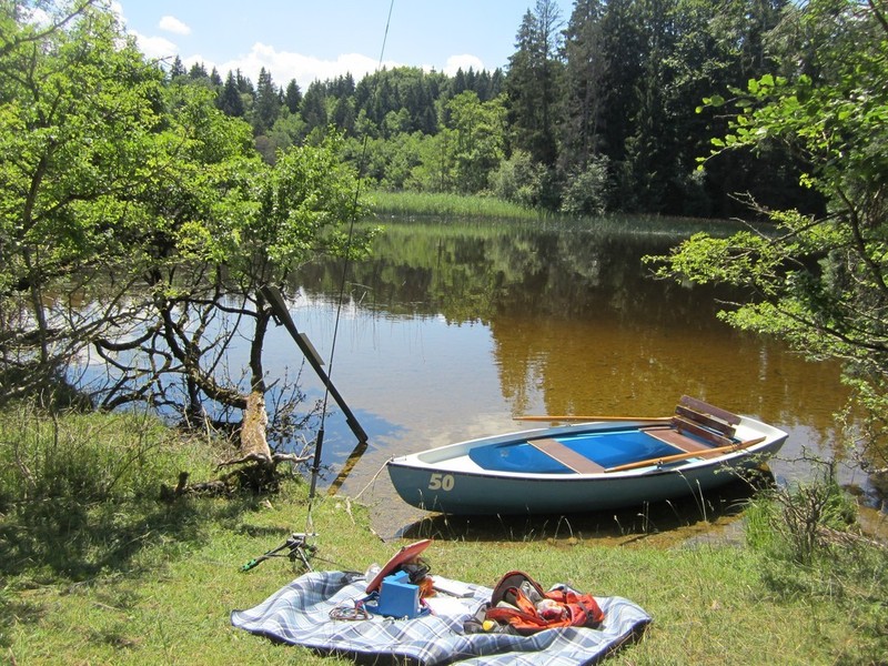 Auf der Insel Wörth